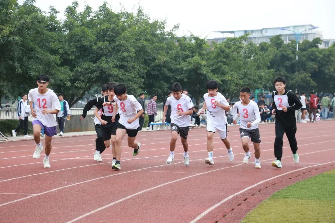 39.jpg