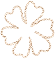 19.png