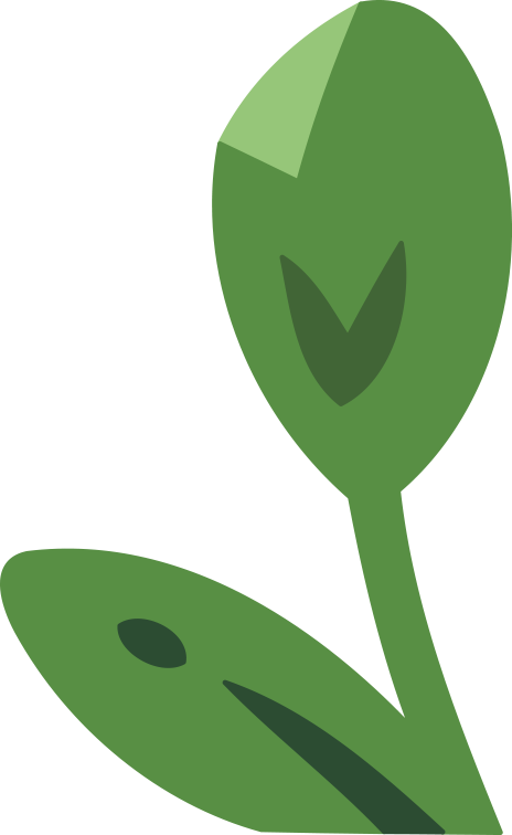 4.png